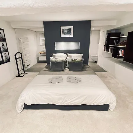 Appartement Exceptional T3 With Terrace In Hypercentre Toulouse